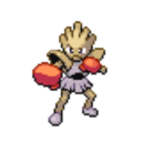 107 Hitmonchan icon